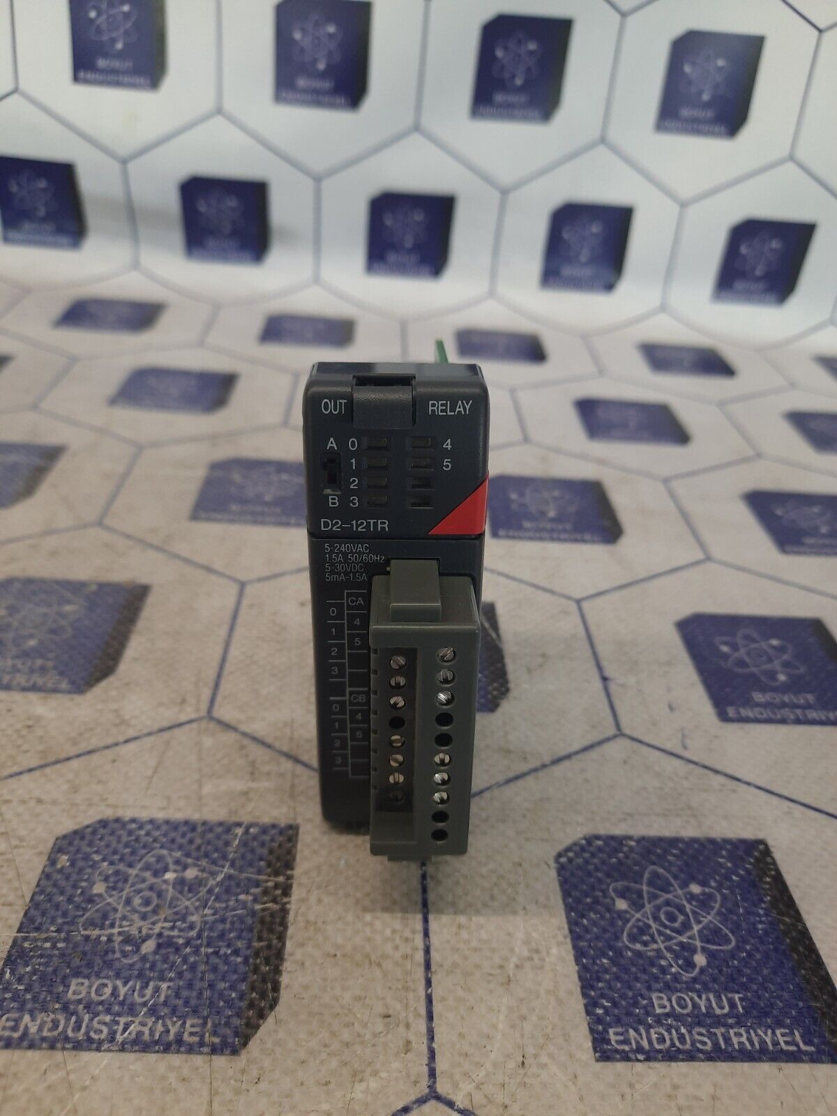 Automation Direct D2-12TR Output Module