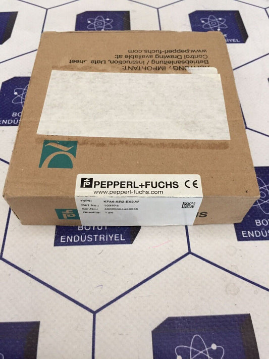 Pepperl+fuchs KFA6-SR2-EX2.W PLC