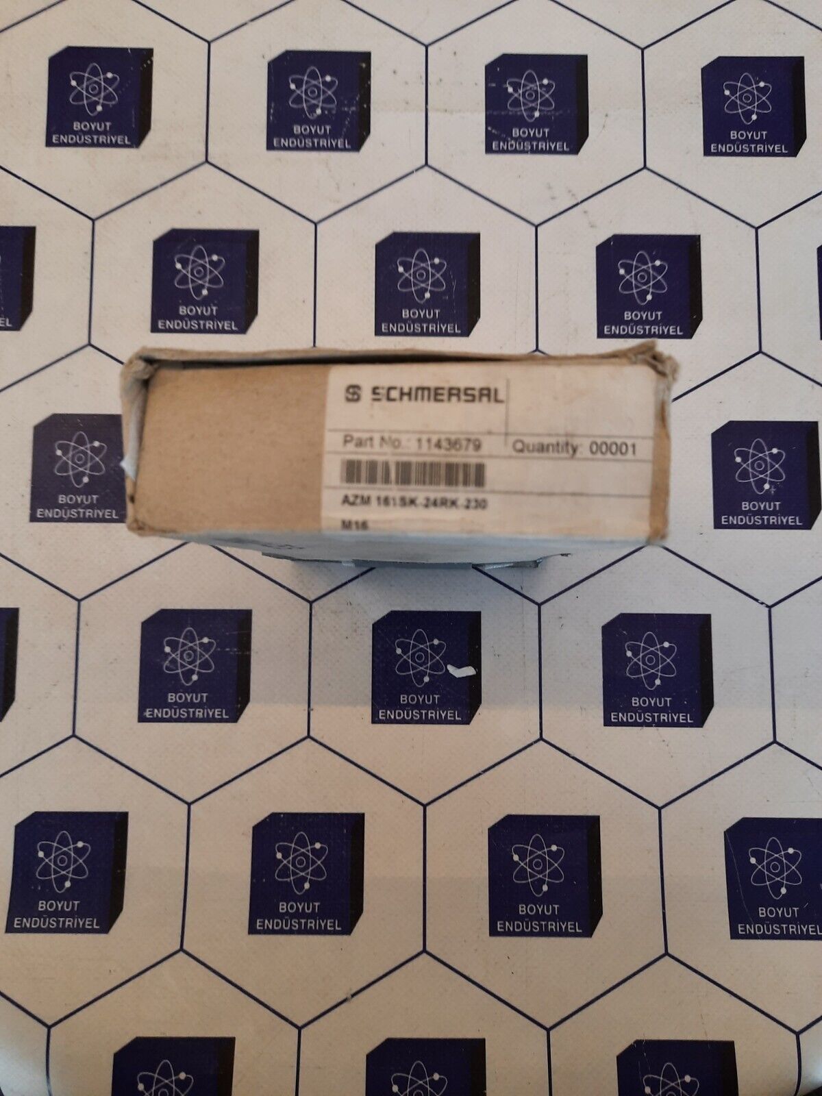 SCHMERSAL IEC 60947-5-1 Safety Hold